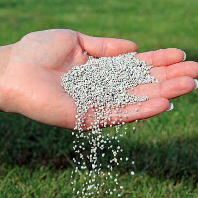 fertilizer in hand